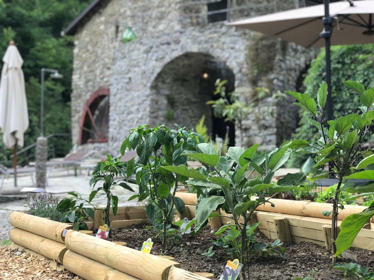 Old Mill Villa Pigna Exterior photo